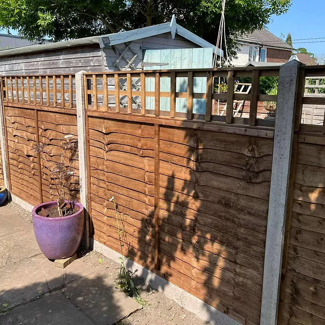 fencing and trellis