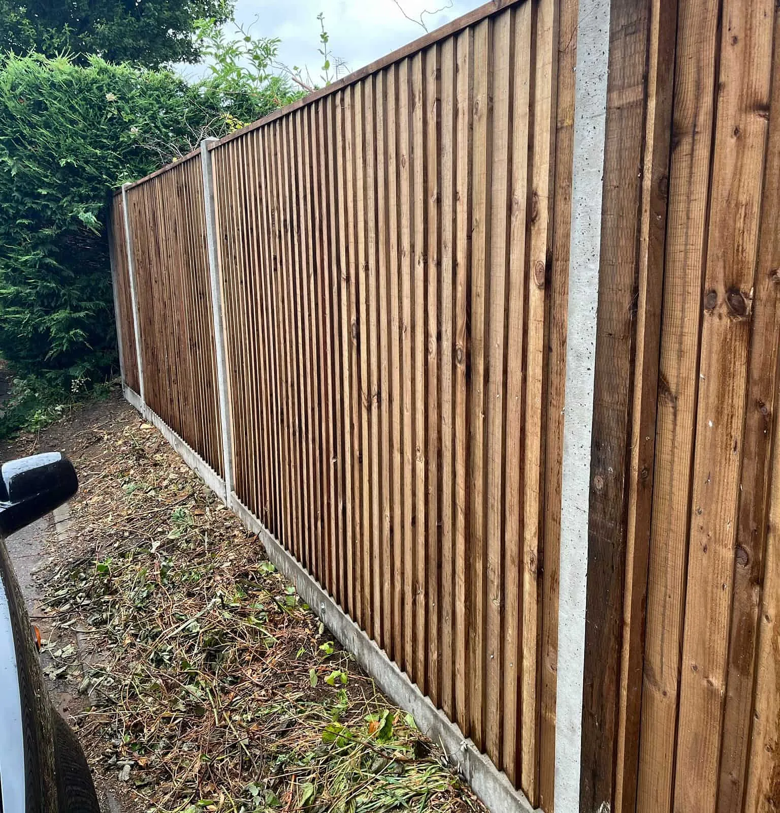 fencing