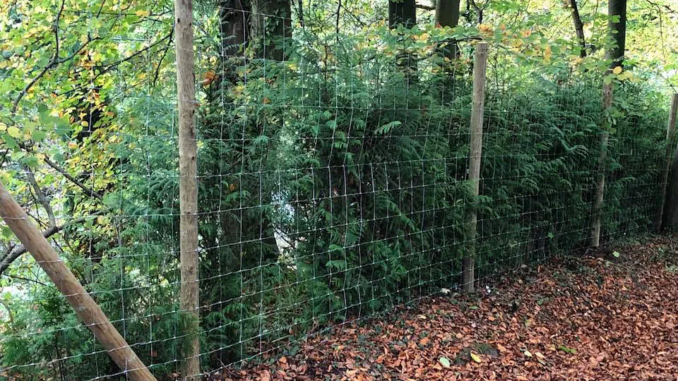 Deer fencing we installed for a wildlife park.