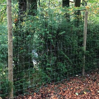 Deer fencing we installed for a wildlife park.