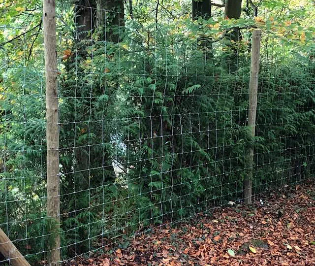 Deer fencing we installed for a wildlife park.