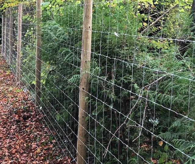 Deer fencing we installed.