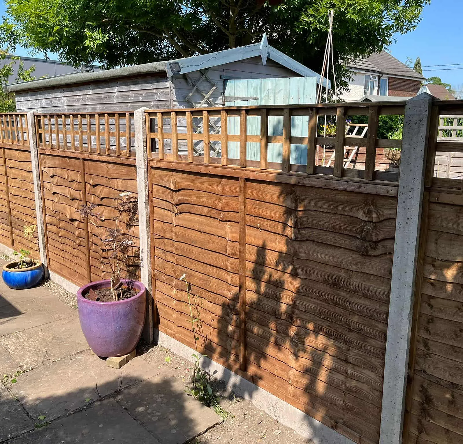 fencing and trellis